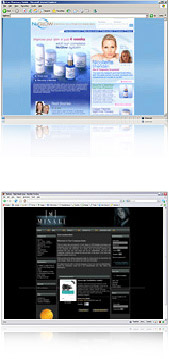 Web development